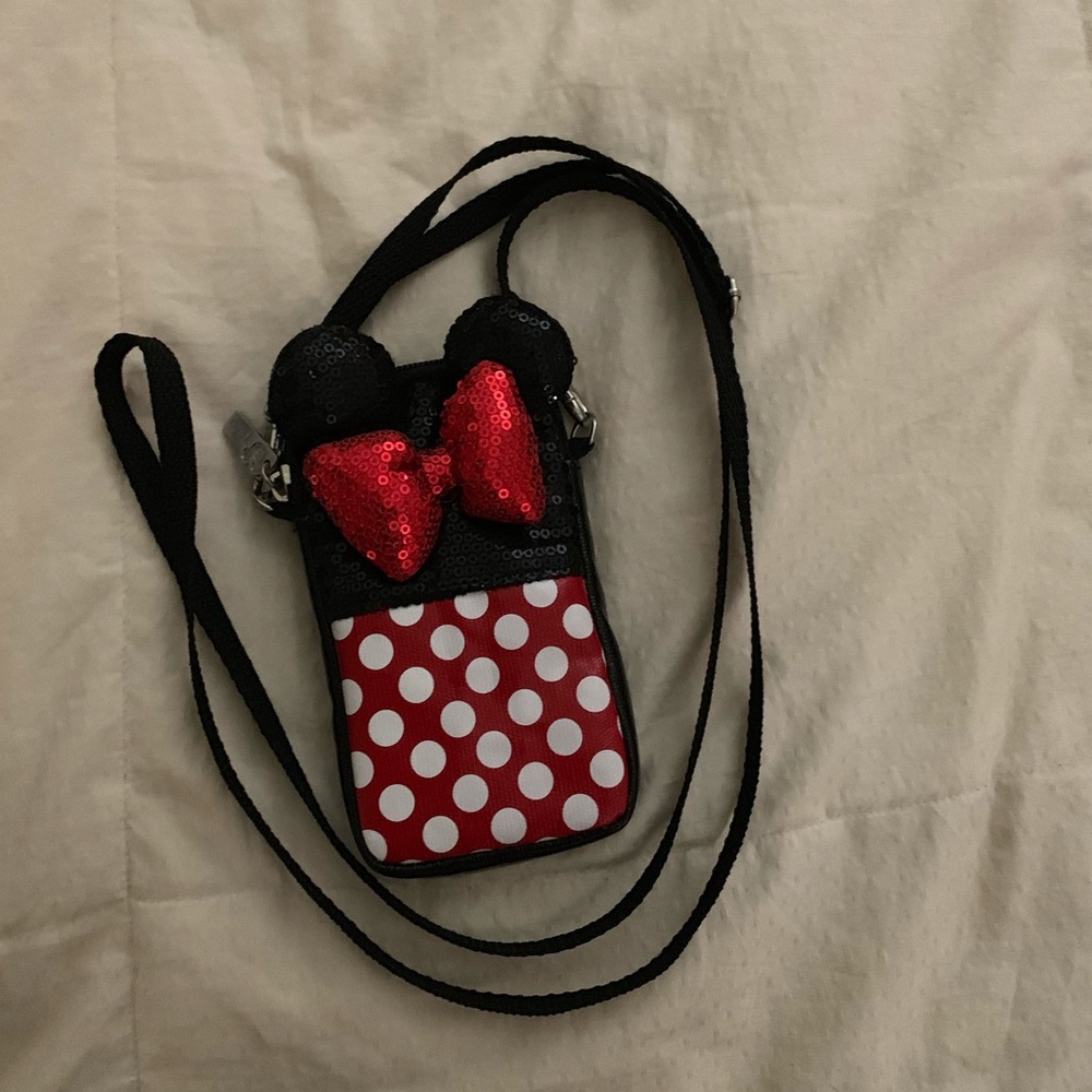 Disneyland pouch
